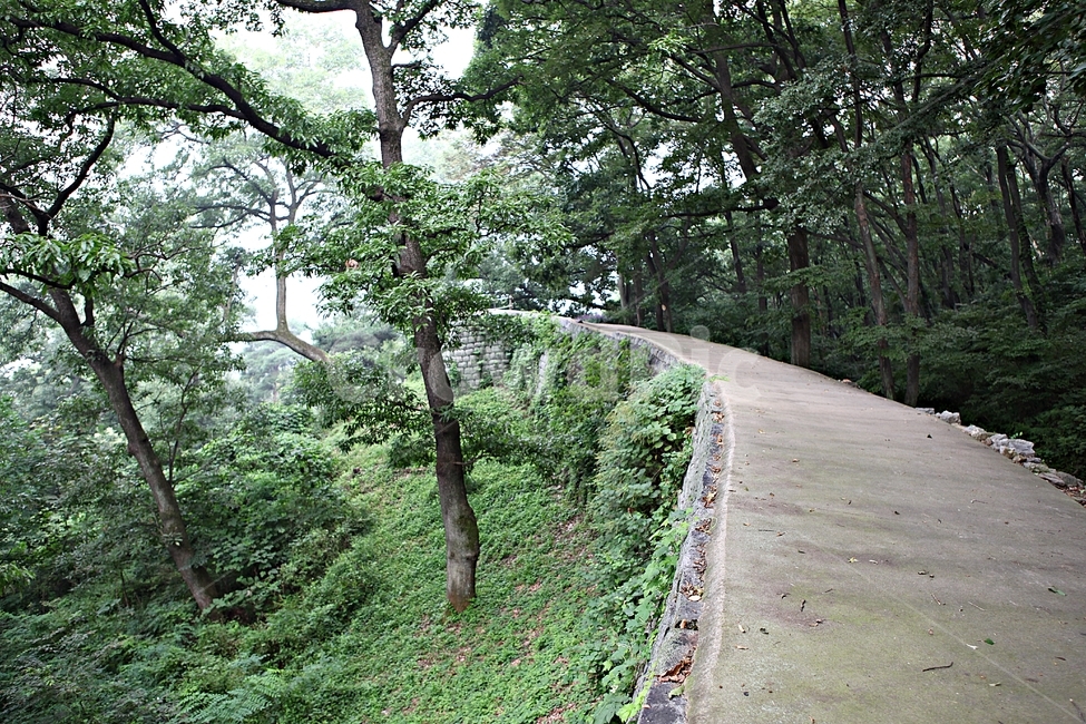 공주산성,산성,성,성곽,길,둘레길,숲,숲길,안개,돌담,담,여름,풍경,벽,방어벽,흙담,나무,식물,유네스코등제