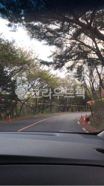 차안,드라이브,불국사,등,감성사진,경주,옛날,역사,길,도로,포장