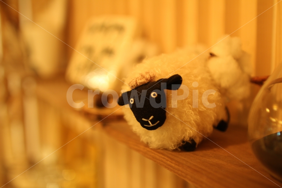 양인형,인형,솜털인형,따뜻함,양,감성,sensible,feeling,인테리어,실내디자인,interior design,사물,물건,오브젝트,thing,object,matter