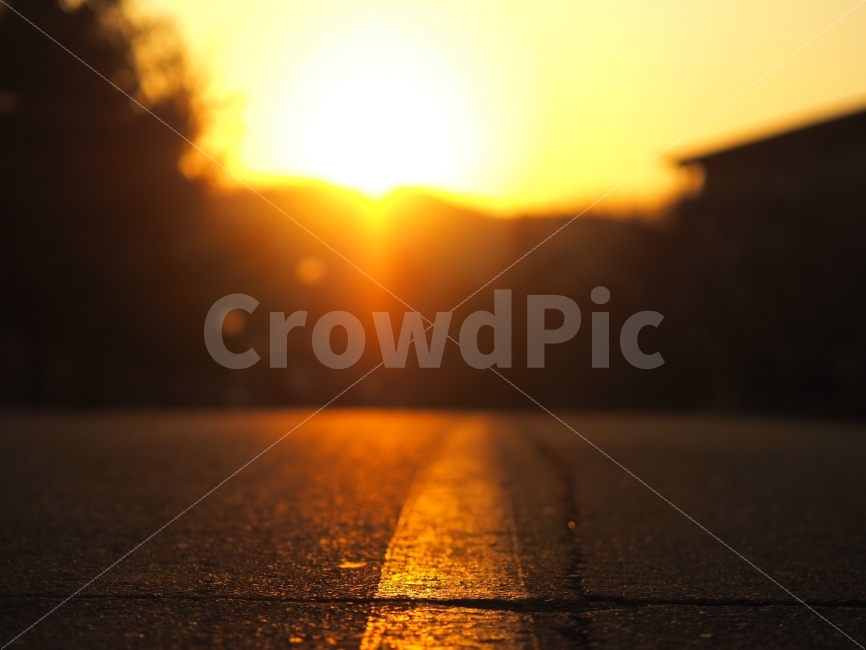 거리,도로,감성,일몰,초점,교통,교통수단,traffic,transportation,감성,sensible,feeling,flare,플레어,light,빛