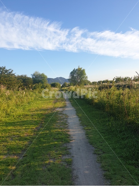 nature,자연,숲길,들길,grass,생태공원,들