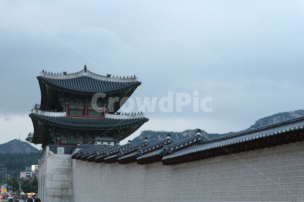 경복궁,경복궁야간개장,광화문,문화재,궁궐,랜드마크,한국의랜드마크,대한민국역사박물관,한국문화,한국전통,역사,궁,서울,서울밤,야경,서울야경,기와,건축,건축물,건물,한국적,한국역사,조명,전통,전통적인,전통무늬,처마,왕,왕비,왕족,근현대사,문화,명성황후,고종,근정전,어도,조정,을미사변,웅장한,궁녀,koreantraditional,korean,seoul,nightview,night,gyeongbokgung,palace,culturalheritage,landmark,gwanghwamun,tradition