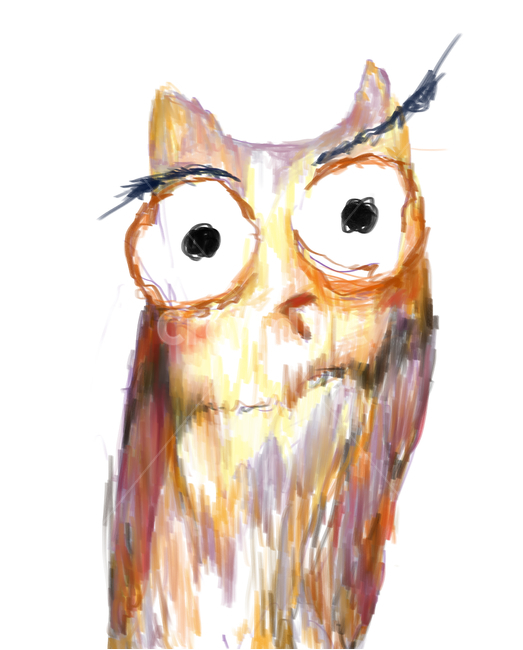 부엉이,일러스트,art,미술,owl,새,그림