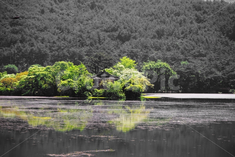 fall,sight,autumn,Wiyangji,construct,Emotion,sensitive,Miryang,landscape,architecture