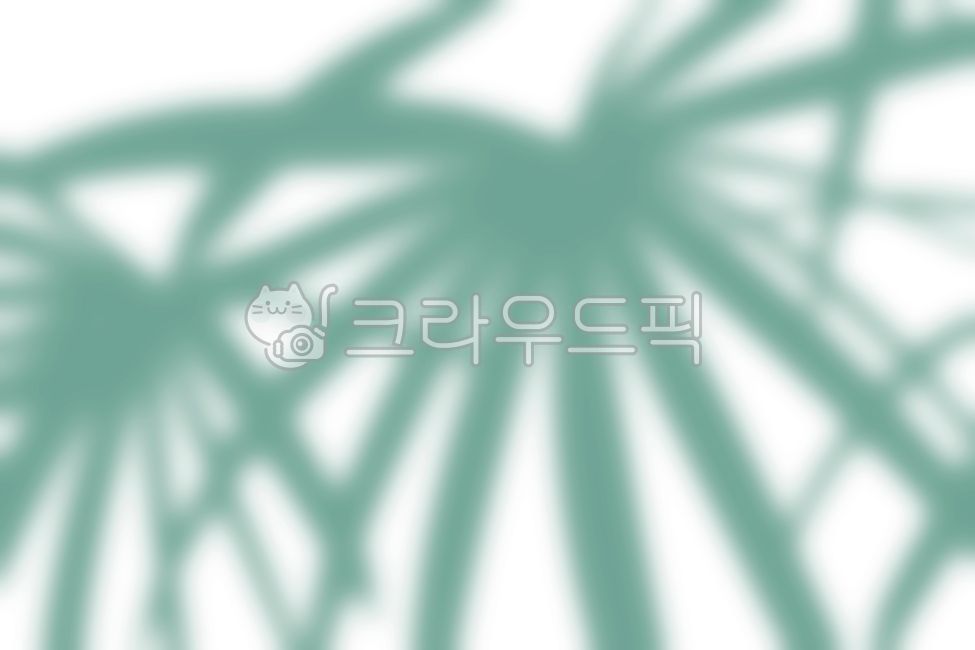 shadow,Shadow,vegetation,frond,White space,summer,palm tree,copy space,natural,shape,nature,tree,abstract,leaf,tropical,tropics,background,plant,silhouette,rainforest,jungle