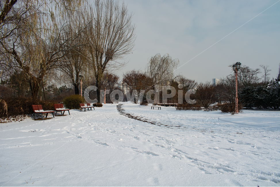 겨울풍경,눈길,백설,흰눈,눈밭,겨울,계절,winter,season,자연,풍경,nature,landscape,outdoors,옥외,bench,벤치