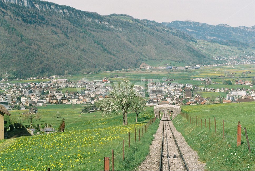 railway,rail,초원,grassland,mountain