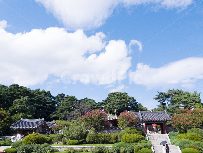 오죽헌,문화재,강릉,유적지,하늘,구름