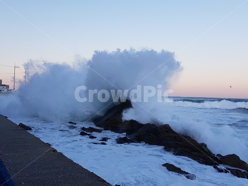 파도,바다,물,자연,wave,sea,water,nature,강릉,강원도,자연,풍경,nature,landscape