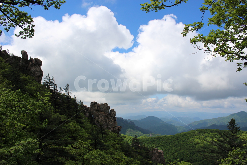 nature,자연,outdoors,옥외,식물,tree,나무,푸른하늘,bluesky,cloud,scenery,green,녹색,등산,산,설악산,자연,풍경,nature,landscape