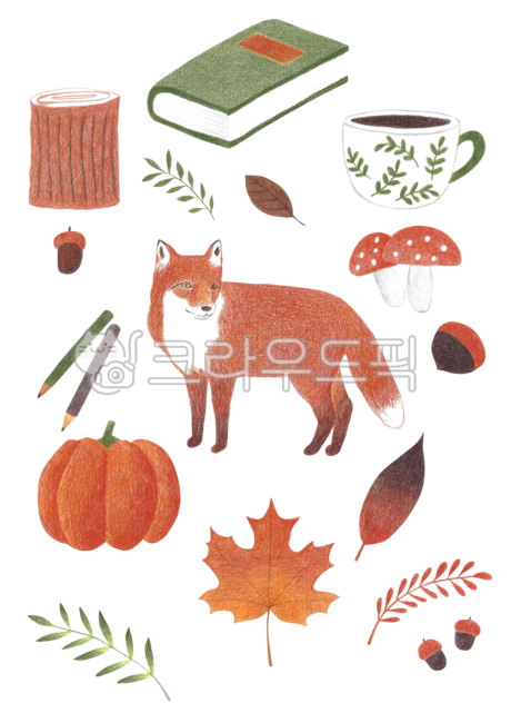 teacup,Colored pencil,chips,acorn,colored pencil drawing,leaves,separation,drawing,season,wood,drawn,mushroom,hand drawing,tree,png,background,plant,animal,autumn,poster,object,cup,book,layer,transparent,fox,fall,fallen leaves,colored,hand,quilt,nature,pe
