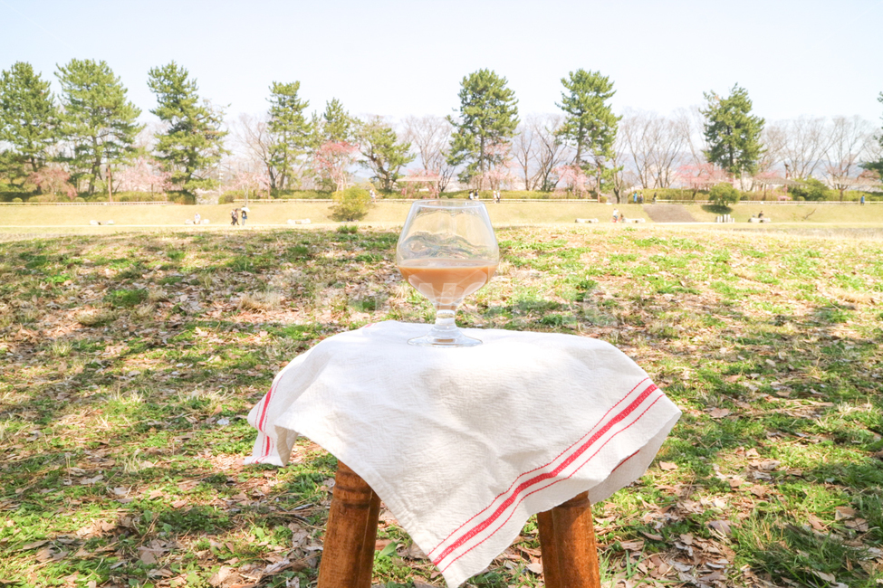 Cafe Latte,coffee,coffee photo,picnic,park