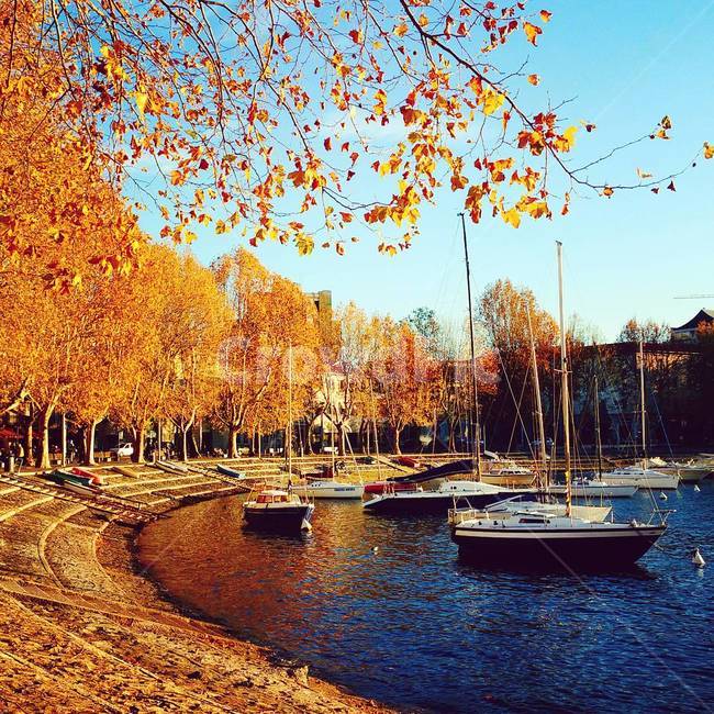 가을,호수,낙엽,요트,여행,유럽,이탈리아,가을,계절,fall,autumn,season,해외,외국,세계,foreign,oversea,world,휴식,힐링,rest,relaxation,healing,교통,교통수단,traffic,transportation,water,물
