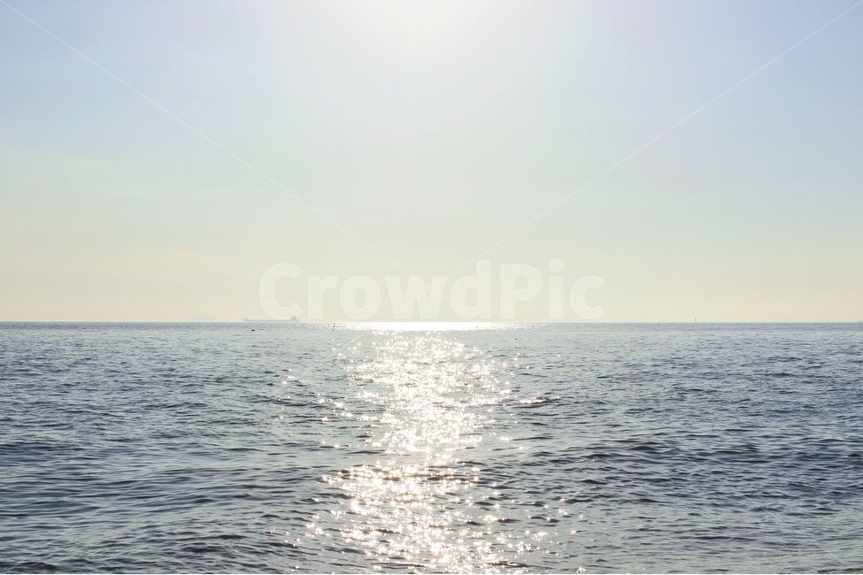 바다,파도,조개,조게껍데기,하늘,sea,자연,풍경,자연,풍경,nature,landscape,휴식,힐링,rest,relaxation,healing
