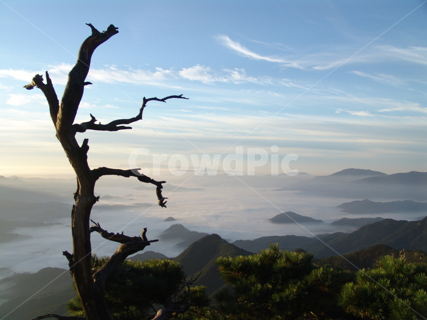 운악산,운악산운무,경기도5대악산,명산,가평,자연,풍경,nature,landscape,한국자연풍경,한국자연경관,korea nature landscape,outdoors,옥외,wood,나무