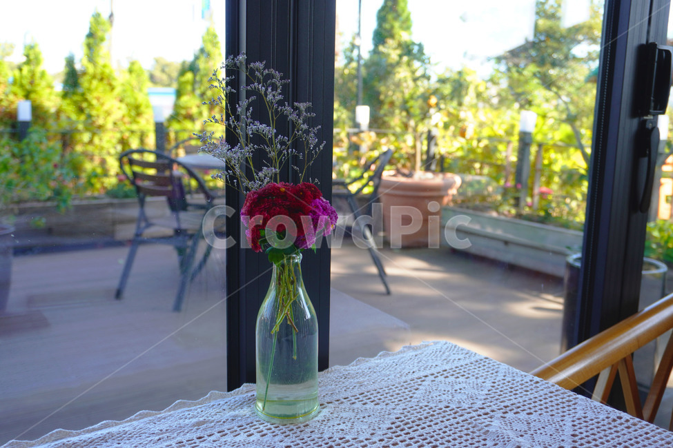 plant,식물,homedecor,가정장식,flower,blossom,꽃,flowerarrangement,꽃꽂이,붉은꽃,테라스,terrace,flowerarrangement,flowerpot,tabledeco,식물,자연,plants,nature,꽃,flower