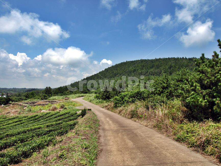 독자봉,오름,올레3코스,올레,제주,서귀포,자연,올레길,자연,풍경,nature,landscape,outdoors,옥외,dirt road,흙길,road,도로,gravel,자갈,hill,언덕