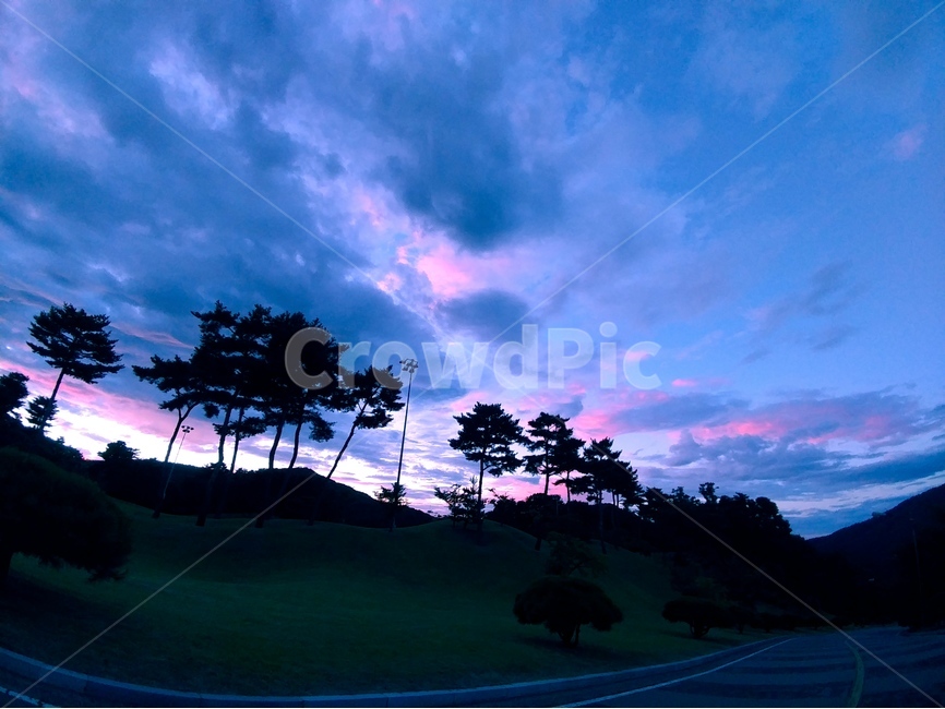 자연,하늘,구름,검붉은,노을,일몰,나무,회색빛,저녘,자연,풍경,nature,landscape,outdoors,옥외