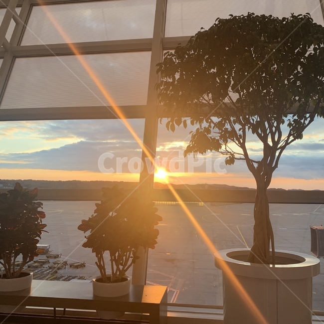 비행기,항공사,공항,김포공항,인천공항,하늘,노을,구름,탑승,인천,비행,코타키나발루,저녁,오후,airplane,airport,sky,afternoon,sunset,유리창,창문