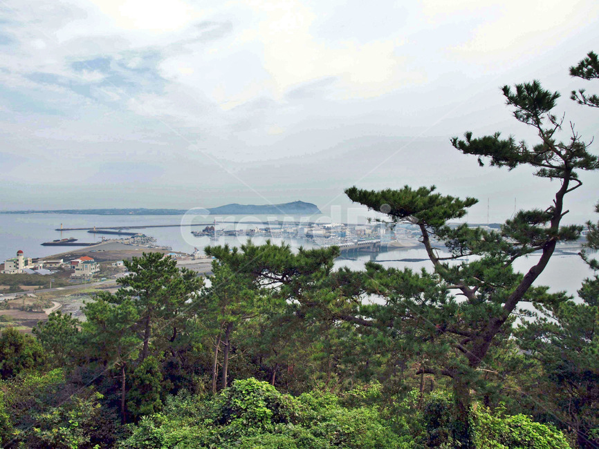 식산봉,내수면둑방길,내수면,제주,올레2코스,서귀포시,오름,우도,마을,자연,풍경,nature,landscape,tree,나무,plant,식물,vegetation,초목,outdoors,옥외