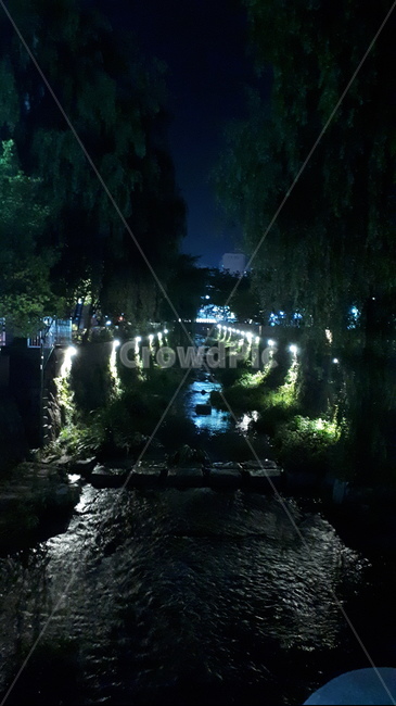 하천,나무,야경,조명,night,밤,light,마산,합포구,냇가,물,tree,masan,stream,water,nightview