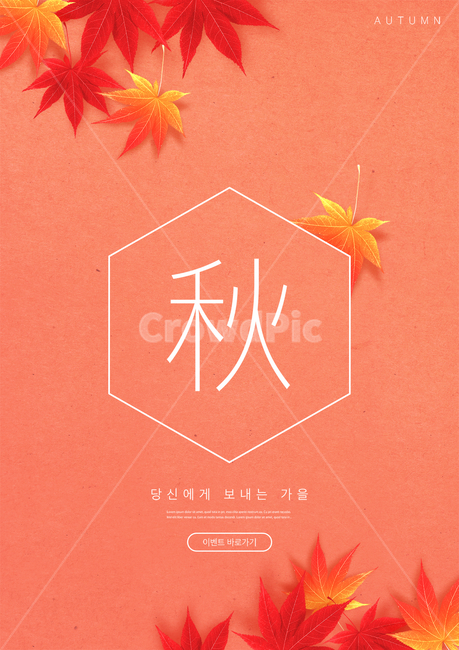 단풍,단풍잎,가을,시즌,이벤트,쇼핑,할인,세일,광고,포스터,편집,가을,계절,fall,autumn,season,그래픽,일러스트레이션,graphic,illustration,leaf,잎,plant,식물,tree,나무,maple
