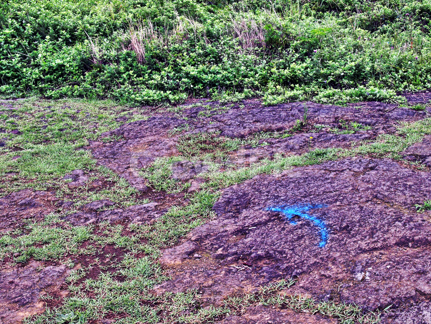 제주,올레19코스,올레길,퇴적암,화살표,자연,풍경,nature,landscape,ground,바닥,soil,흙