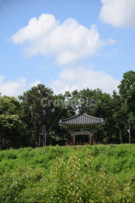 하늘,숲,정자,여름,구름,푸르름,풀,흰구름,파란하늘,무더위,바람,자연,풍경,nature,landscape,한국전통,한국문화,korean traditional,korean culture,건축물,건물외관,exterior,building,structure,architecture,construction,outdoors,옥외