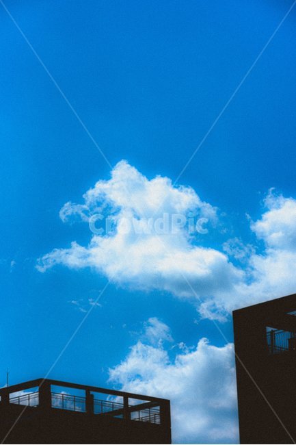 nature,자연,outdoors,옥외,sky,구름,cloud,날씨,weather,하늘,cumulus,적운,azuresky,푸른하늘