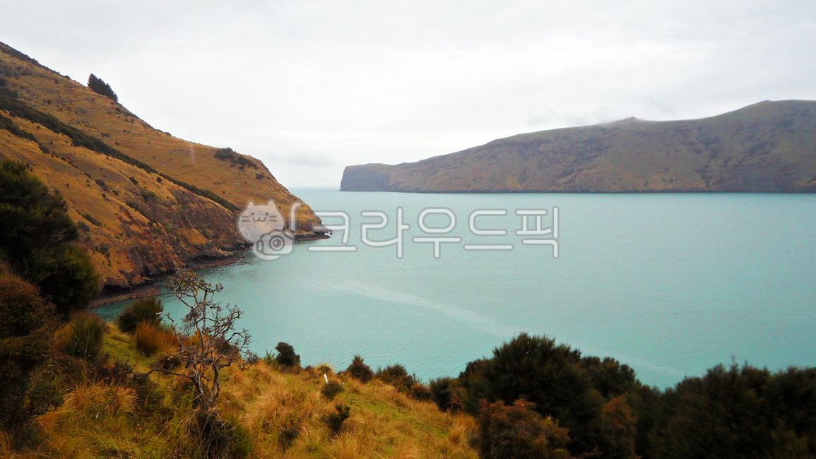 뉴질랜드,자연풍경,배경,바다,자연,산,언덕,잔디,경치,물,하늘,나무,목장,옥외,경사,녹색,골짜기,고원,산맥,연안,목초지,고지,산악지형,자연경관,남섬,해외,외국,해외자연풍경,외국자연풍경,newzealand,naturelandscape,background,sea,nature,mountain,hill,grass,landscape,water,sky,meadow,tree,pasture,outdoors,slope,green,valley,plateau,mountainrange,coast,grassland,highland,mountainouslandforms,naturalscenery,southisland,overseas,foreign,overseasnaturalscenery,foreignnaturalscenery,해안선,shoreline,곶,promontory