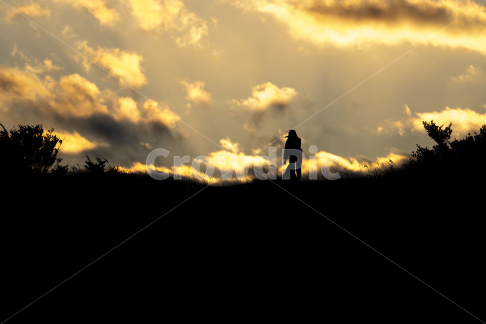 언덕,사람,노을,금빛,light,빛,flare,플레어,sunlight,햇빛,nature,자연,자연,풍경,nature,landscape