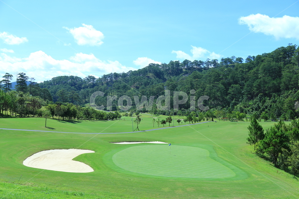 field,들,자연,골프,골프코스,nature,golf,golfcourse