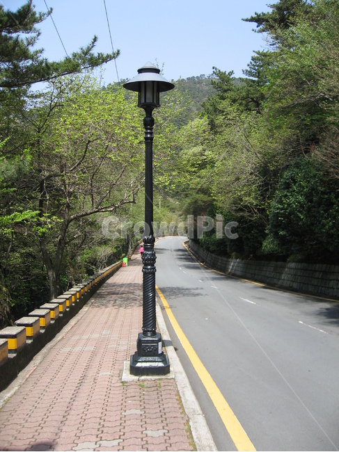 태종대,공원,도로,가로등,자연,자연,풍경,nature,landscape