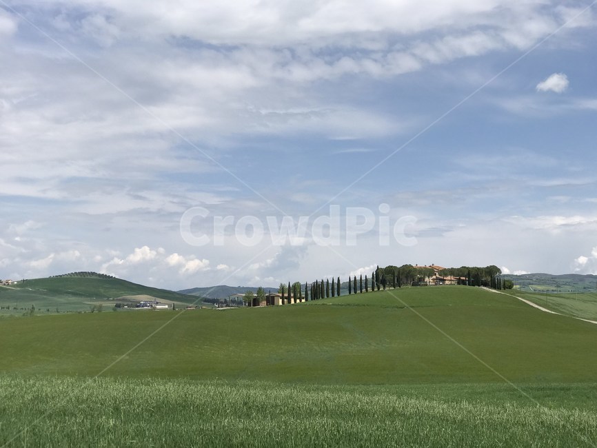 토스카나,toscana,투스카니,풀,이탈리아,이태리,italia,italy,자연,풍경,해외,nature,발도르차,초록,나무,tuscany,소도시,구름,하늘