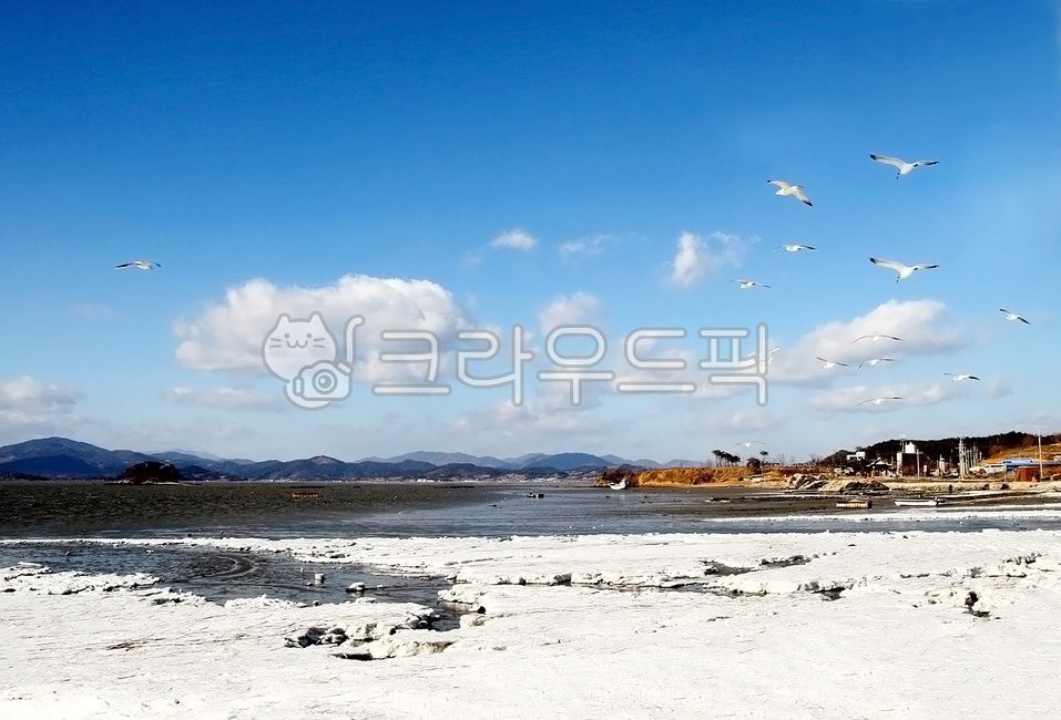 자연,겨울바다,와온해변,갈매기,겨울하늘