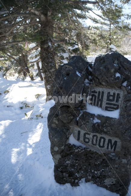 제주,한라산,제주도,자연,여행,설원,설경,눈,설산,숲,나무,풍경,숲속,산,등산,겨울,계절,겨울,계절,winter,season