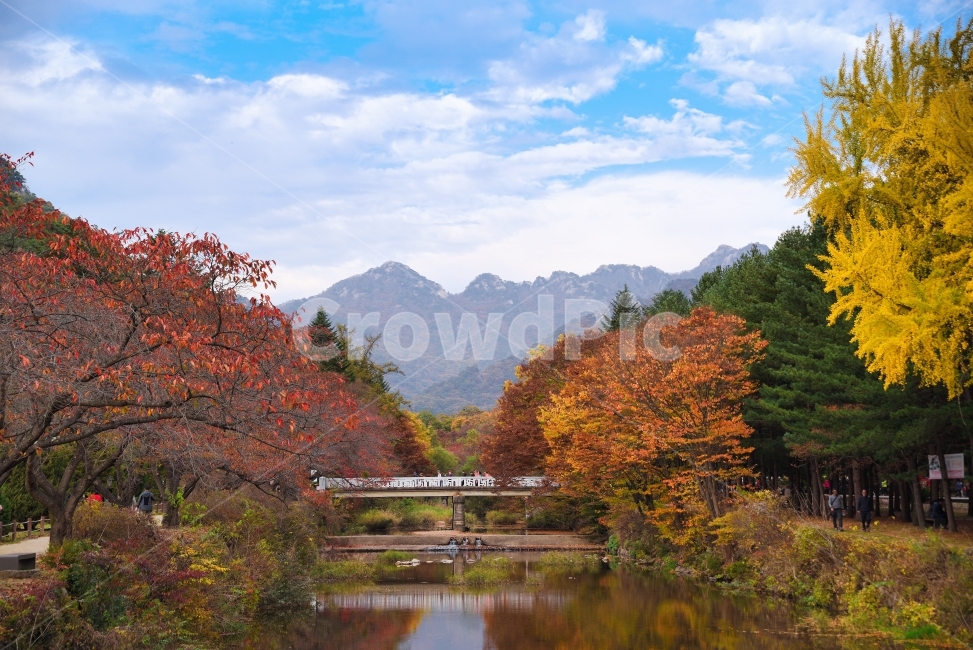 가을,단풍,속리산,충청북도,보은,낙엽,하늘,한국,사진,풍경,fall,autumn,korea,sky,picture,photo,photography,landscape,가을,계절,fall,autumn,season,자연,풍경,nature,landscape,한국자연풍경,한국자연경관,korea nature landscape,water,물,outdoors,옥외,tree,나무,plant,식물,land,땅,person,사람,human,인간