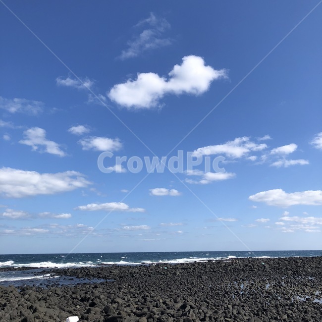 nature,자연,바다,sea,제주도
