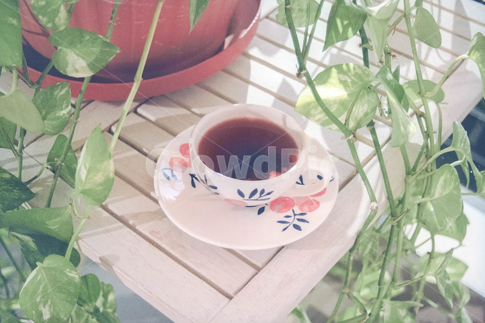 찻잔,식물,티타임,홍차,북유럽,감성,테이블,화분,자연,인테리어,음료수,drink,beverage,커피,카페,coffee,cafe,감성,sensible,feeling