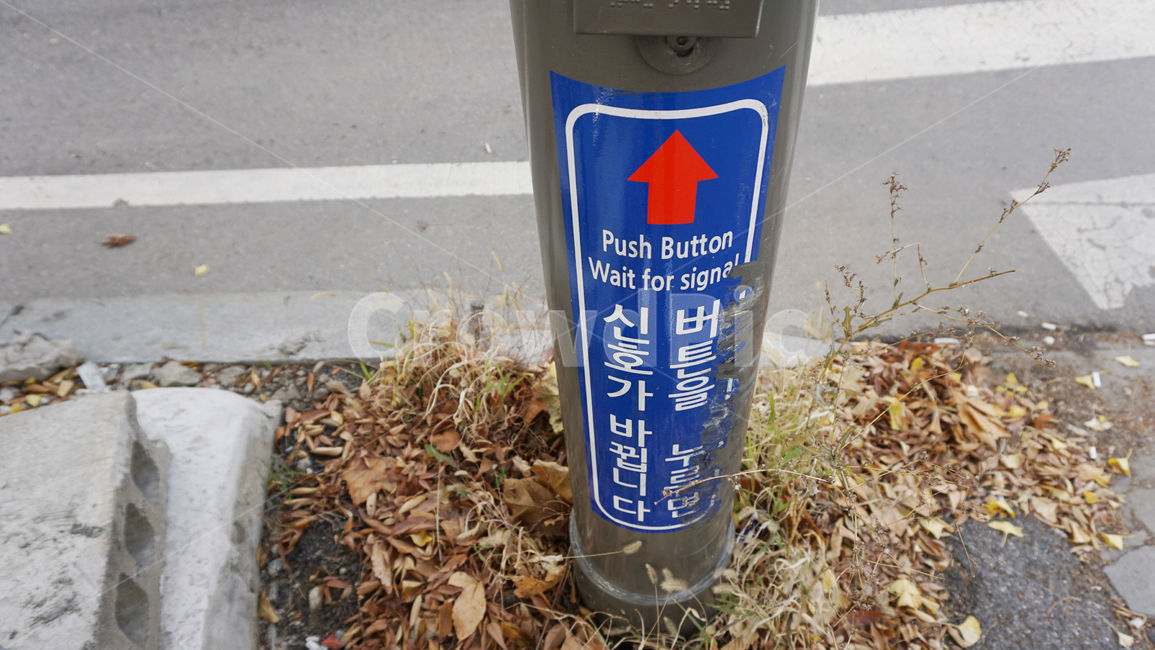 신호등,신호,버튼,push,button,signal