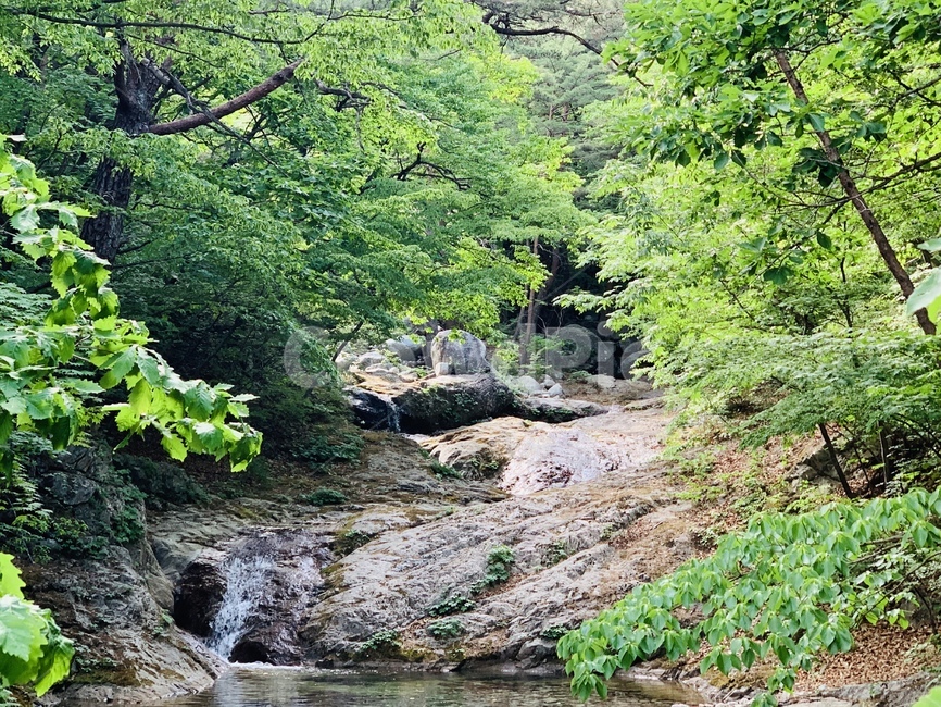 풍경,야생,자연,nature,water,물,outdoors,자연,풍경,nature,landscape