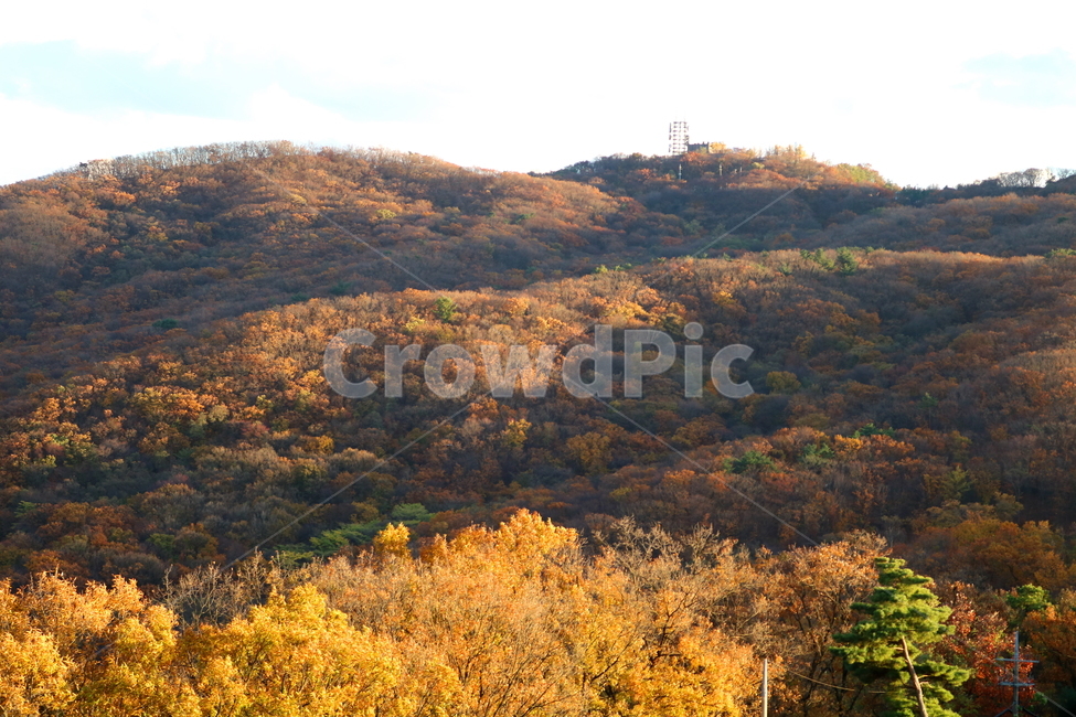 남한산성,산성,자연,풍경,가을,산,단풍,나무,공원,가을,계절,fall,autumn,season,nature,outdoors,옥외
