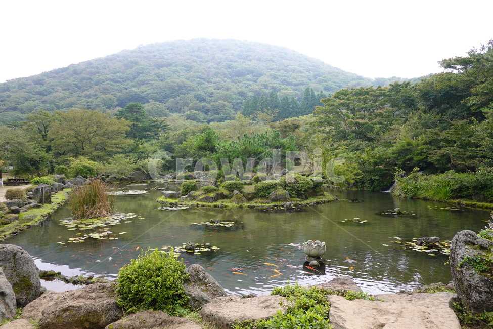 nature,water,outdoors,자연,물,옥외,연못,우물,산,산림,숲