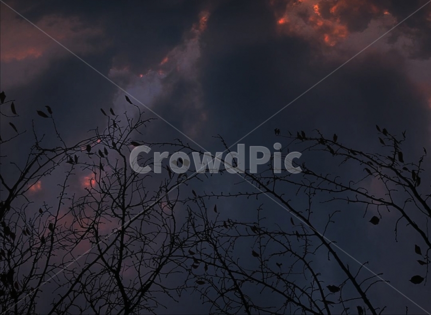 하늘,나무,풍경,필터,감성,색감,자연,풍경,nature,landscape,식물,plants,나무,trees,wood,감성,sensible,feeling,색깔,색상,색채,색감,color sense,color sensitivity,feeling of color,outdoors,옥외