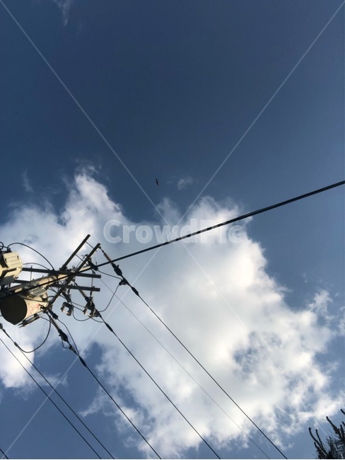 하늘,하루,시작,감성,푸른,새,자연,풍경,nature,landscape,utility pole,전신주