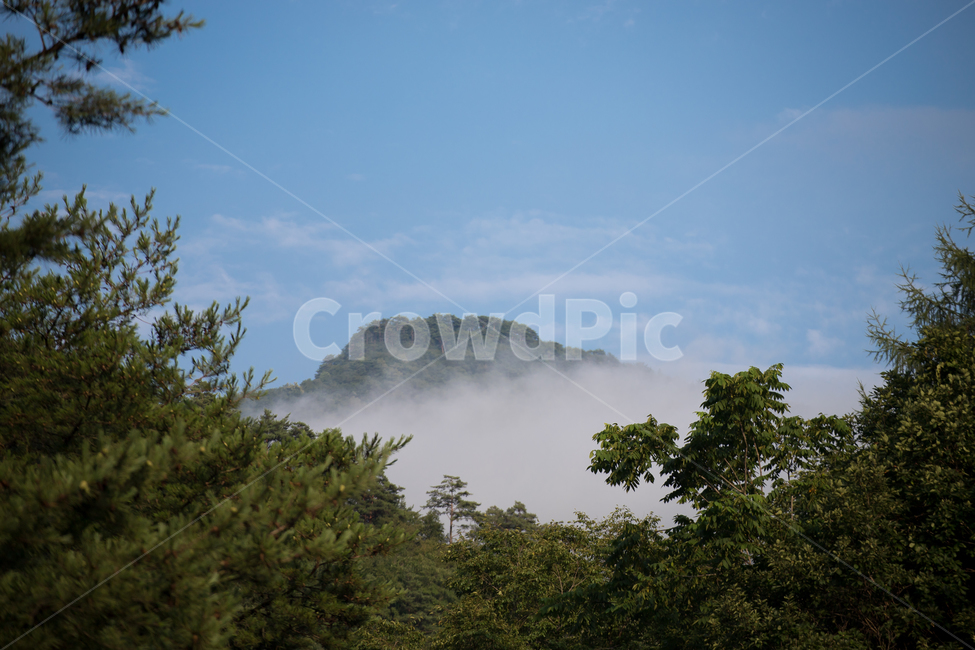 산,안개,구름,풍경,mountin,비온뒤,파란하늘,자연,풍경,nature,landscape,plant,식물,tree,나무,outdoors,옥외,fir,전나무
