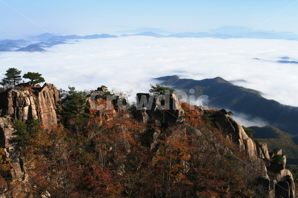 산,대둔산,가을,안개,운해,아침,바위,한국,한국자연풍경,한국자연경관,korea nature landscape