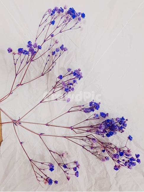 조화,꽃,꽃송이,꽃한송이,조화재료,라벤더,꽃나무,flower,花