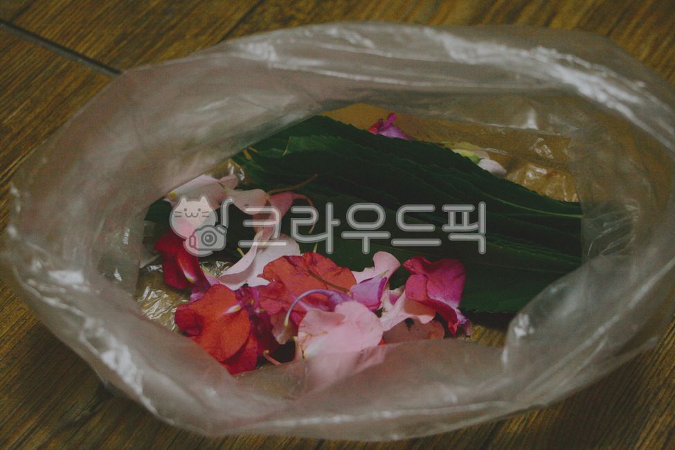 봉숭아,봉선화,봉숭아물들이기,여름,식물,여름사진공모전