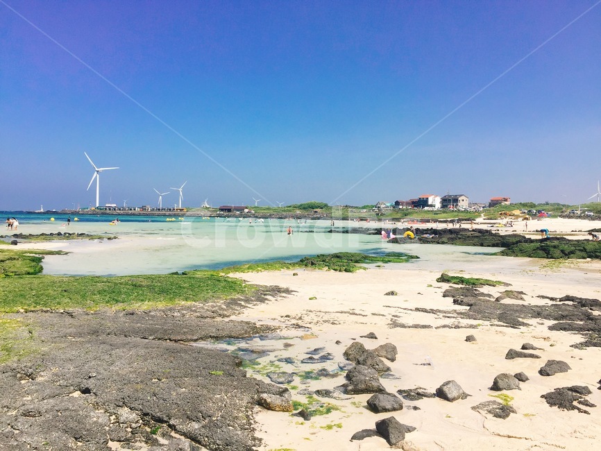 제주도,바다,해수욕장,자연,백사장,하늘
